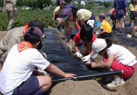 �J�u�r�j�[��