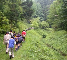 �n�C�L���O