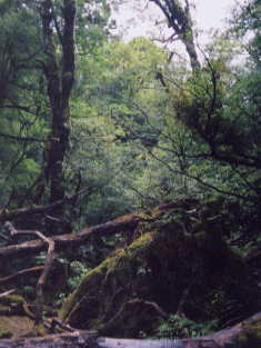 ���J���_��