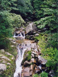 ���J���_��